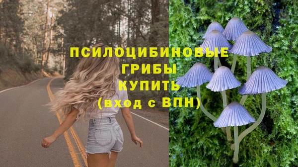прущие крисы Арсеньев