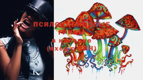 прущие крисы Арсеньев