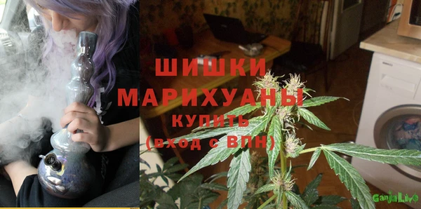 СК Аркадак