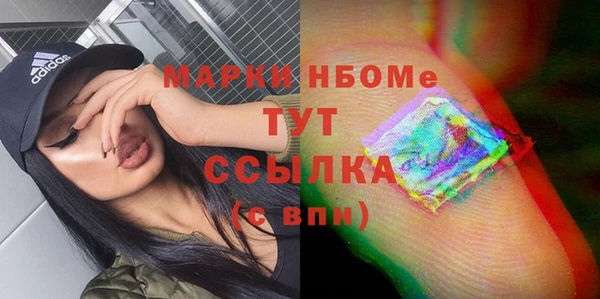 гидра Алексеевка