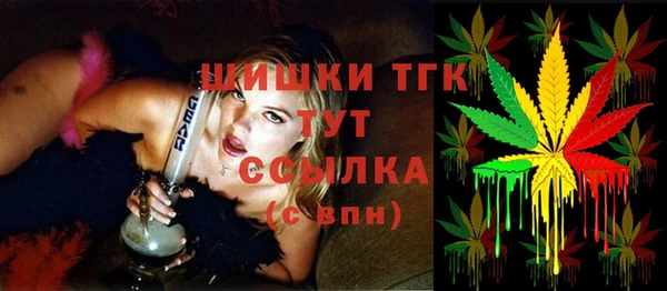 СК Аркадак